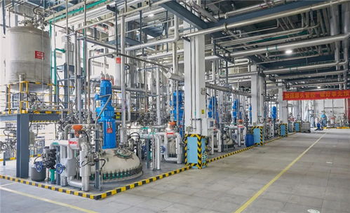 心安是家 新時代和諧勞動關系的 傳化樣本