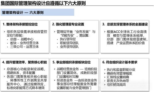 集團(tuán)中長期管理戰(zhàn)略咨詢項(xiàng)目 管控體系詳細(xì)設(shè)計(jì)與企業(yè)管理優(yōu)化