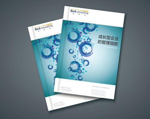 《2015年成長型企業(yè)管理指數(shù)報(bào)告》揭示 轉(zhuǎn)型期企業(yè)的管理挑戰(zhàn)與機(jī)遇